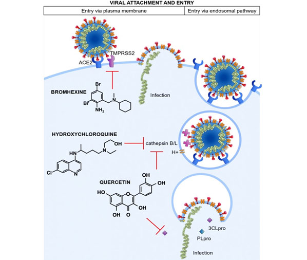 covid-treatments-in-adyar,perungudi,thuraipakkam covid-treatments-in-adyar,perungudi,thuraipakkam