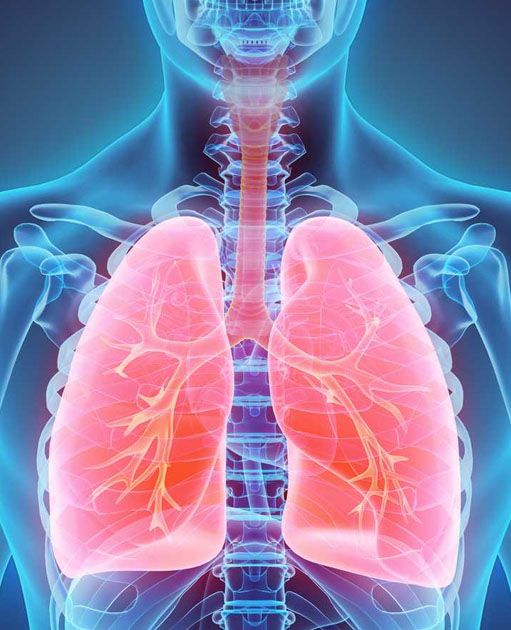 Lung Infection Specialist in Navallur | Lung Infection Specialist in Kelambakkam| Lung Infection Specialist in Perumbakkam | Lung Infection Specialist in Pudupakkam | Lung Infection Specialist in Thazhambur | Lung Infection Specialist in Siruseri | Lung Infection Specialist in Shollinganallur Lung Infection Specialist in Navallur | Lung Infection Specialist in Kelambakkam| Lung Infection Specialist in Perumbakkam | Lung Infection Specialist in Pudupakkam | Lung Infection Specialist in Thazhambur | Lung Infection Specialist in Siruseri | Lung Infection Specialist in Shollinganallur