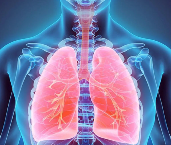 lung-infections-in-adyar-perungudi-thuraipakkam