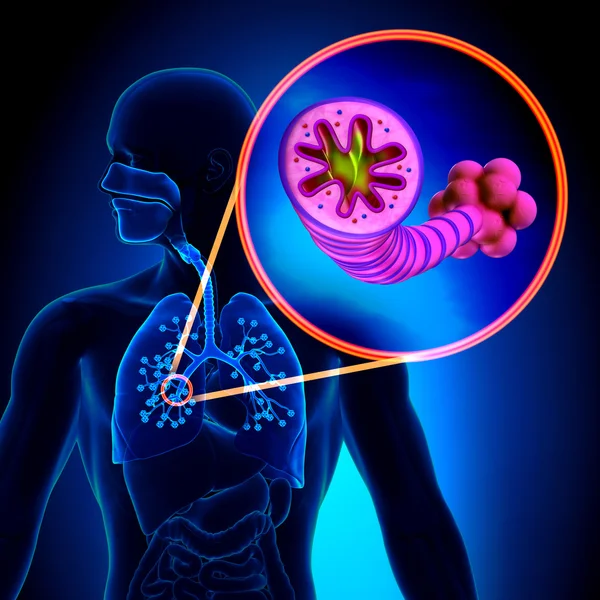 copd-in-pallikaranai-medavakkam-mambakkam